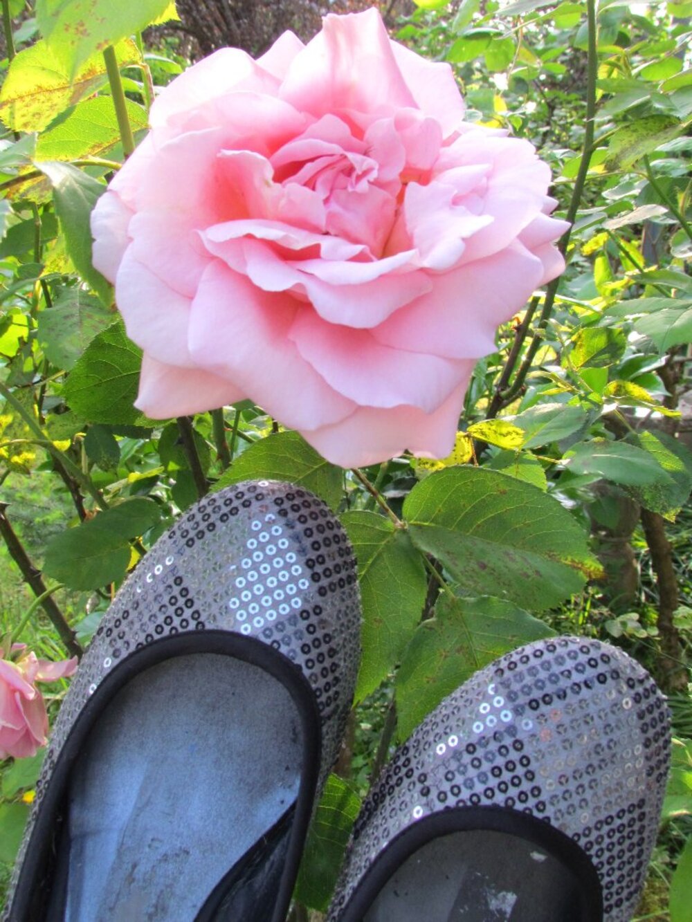 SPARKLY BALLET FLATS, 6.5, GRAY, SILVER & BLACK MINI SEQUINS, M.P.S. VERY PRETTY